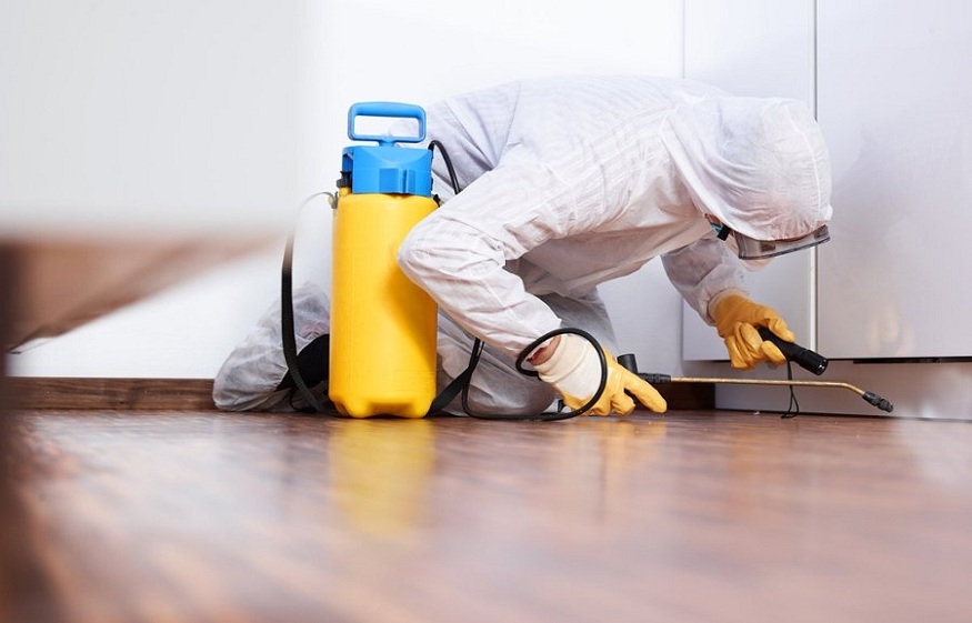 How Pest Control Services Improve Your Facility?