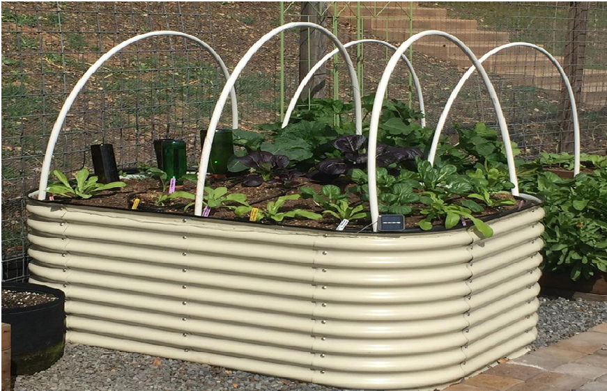 Creative Ideas For Raised Bed Garden