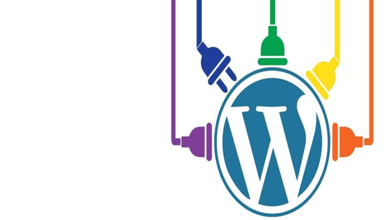 How Does the Accessibe WordPress Plugin Improve the Performance of Your Site?
