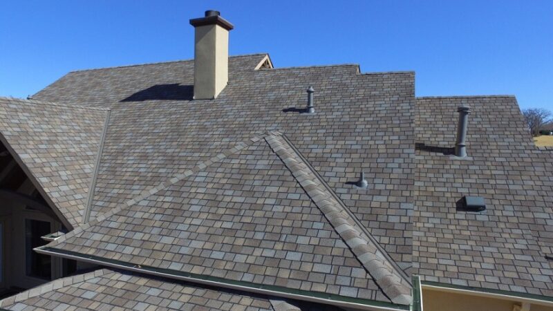 Long Term Value: Why Professional Roof Care Matters
